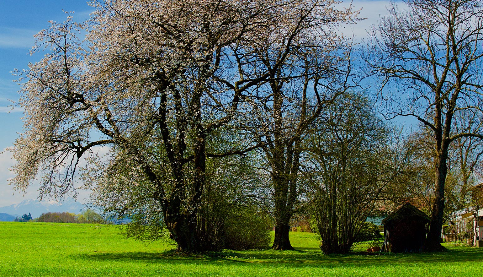 zuhaeusl-am-chiemsee-impressionen-fruehling-content-3