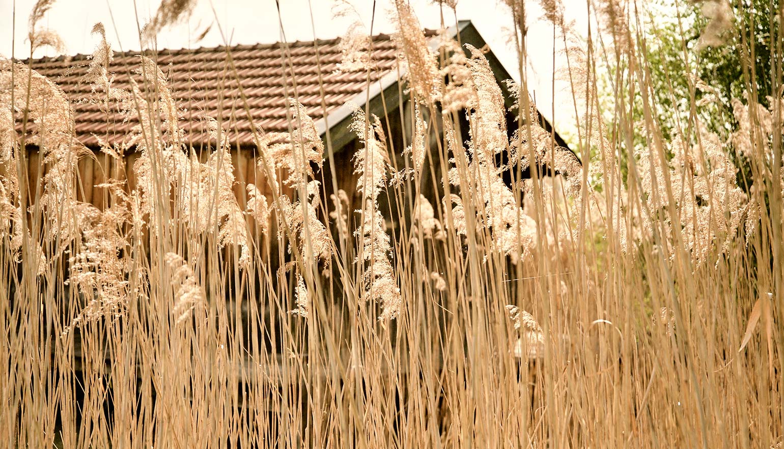 zuhaeusl-am-chiemsee-impressionen-herbst-content-2