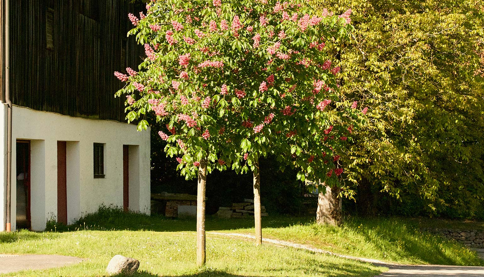 zuhaeusl-am-chiemsee-impressionen-sommer-content-4