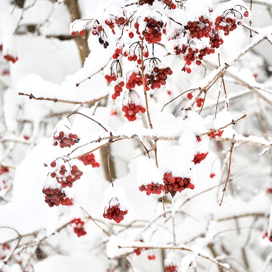 zuhaeusl-am-chiemsee-impressionen-winter-beitragsbild