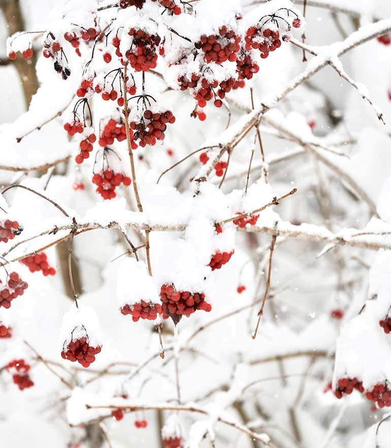 zuhaeusl-am-chiemsee-impressionen-winter-content-3