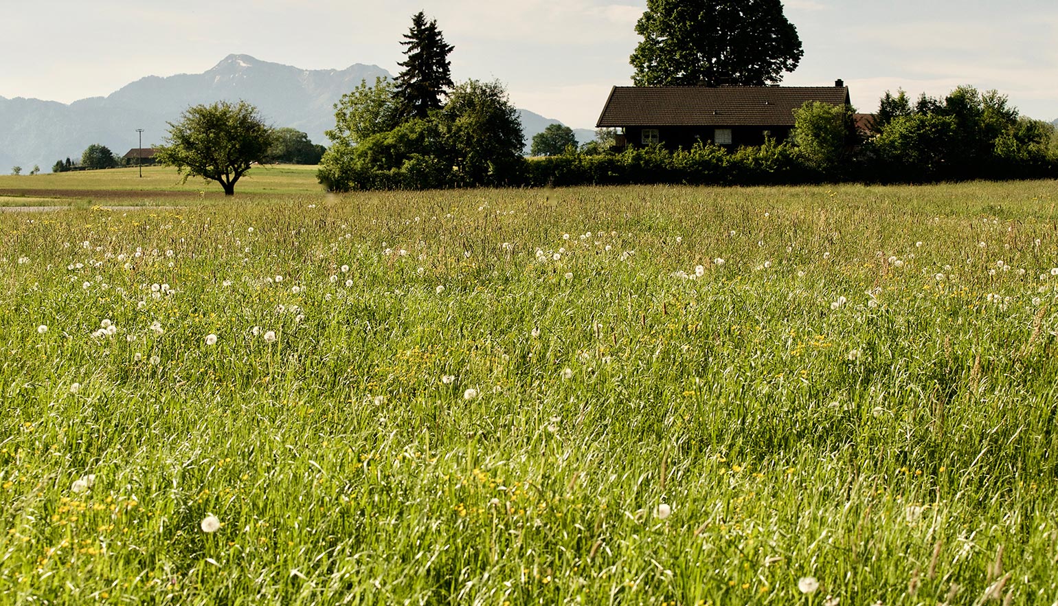 zuhaeusl-am-chiemsee-impressionen-content-2