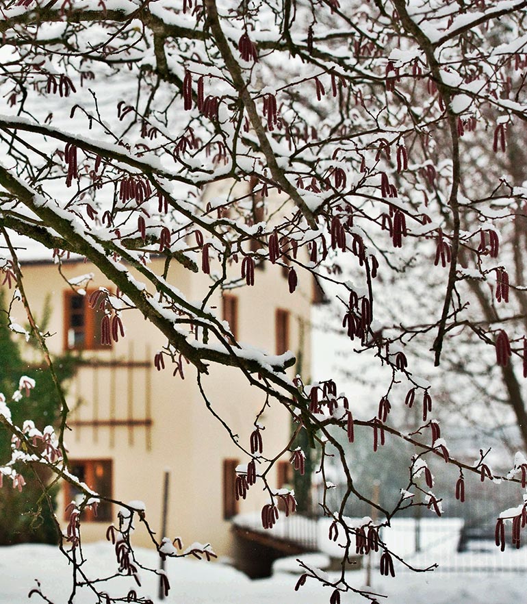 zuhaeusl-am-chiemsee-impressionen-content-5